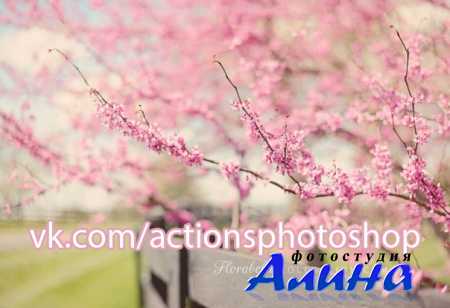 ������� ������� - Florabella Collection