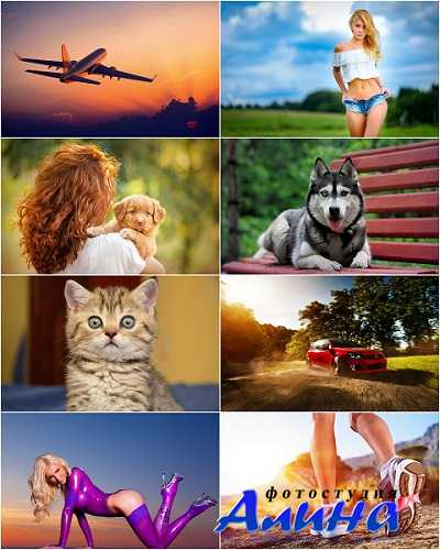 Красочная подборка обоев на разные темы №547