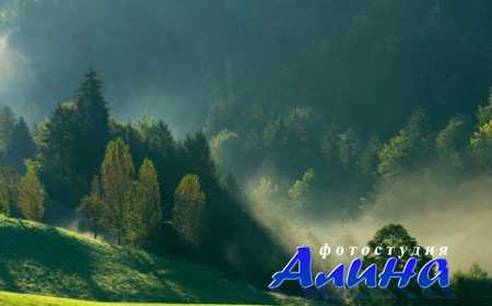 �������� �������