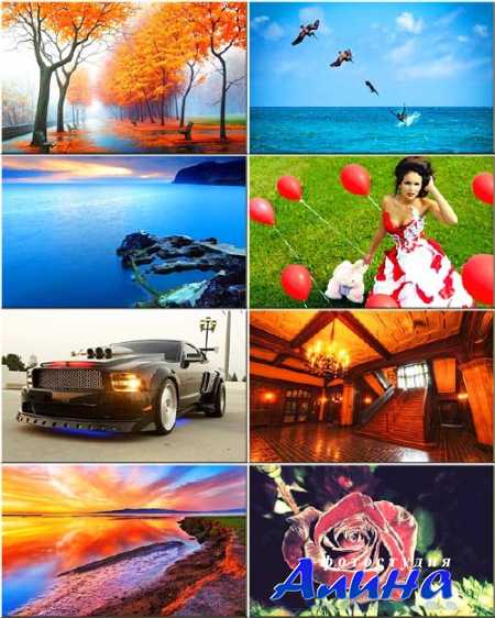 ���� - ��������� �������� #264