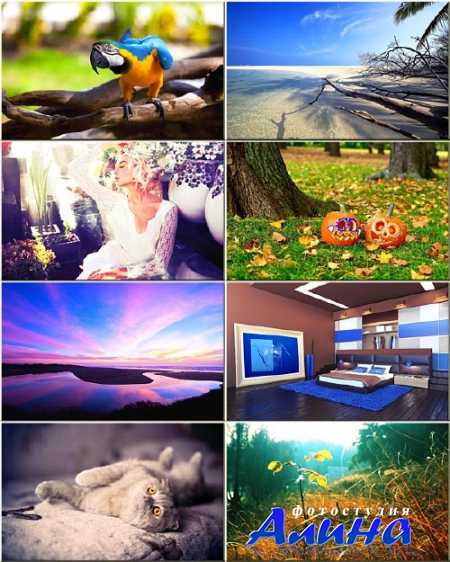 ���� ��� �������� ����� - ������ �������� #290