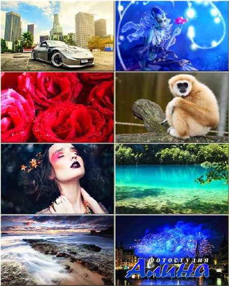 ���� - ������ #134