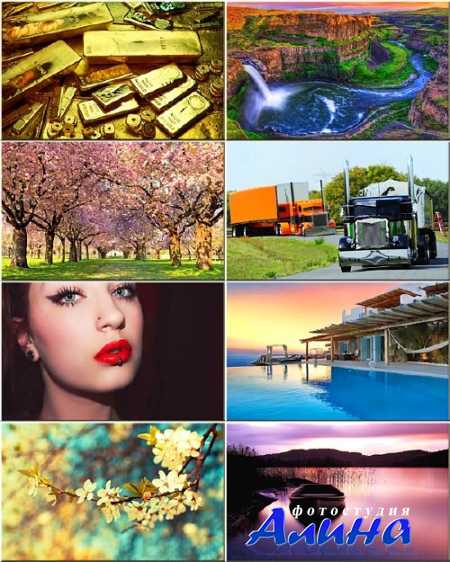 ���� �� ������� ���� - ������ #41