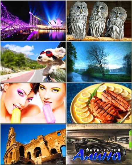 ���� - ���� �� ������ ���� #19