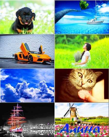 ���� �� ������� ���� - ������ �������� #266