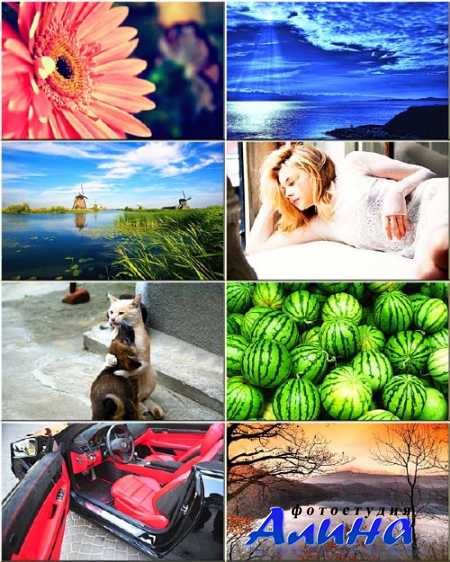 ��������� ���� - ����������������� ��������� #277