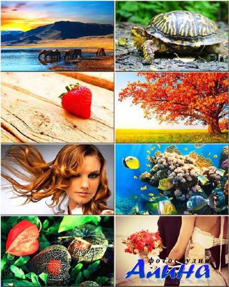 ���� - ���� �� ������ ���� #274