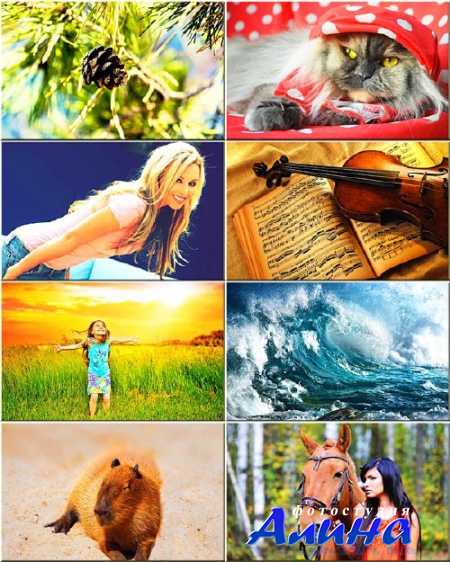 ���� �� ������� ���� - ���� �� ������ ���� #76