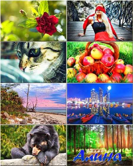 ���� ��� �������� ����� - ������ �������� #140