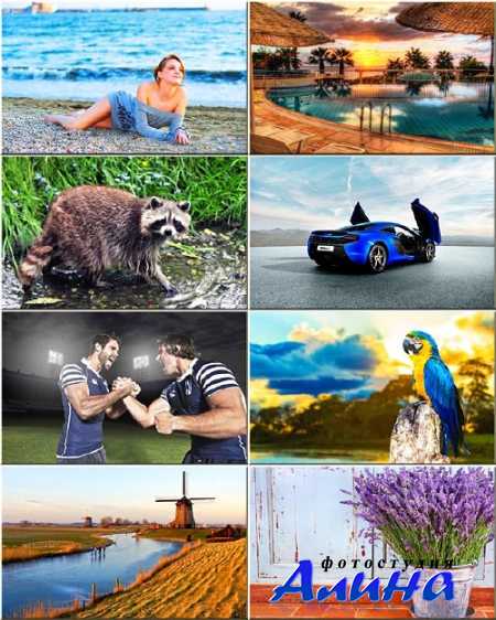 ���� ��� �������� ����� - ��������� �� ������ ���� #195