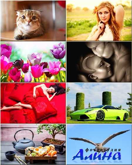 ���� - ������ #209