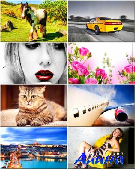 ���� ��� �������� ����� - ��������� �������� #115