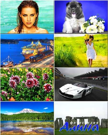 ���� ��� �������� ����� - ����������������� ��������� #230