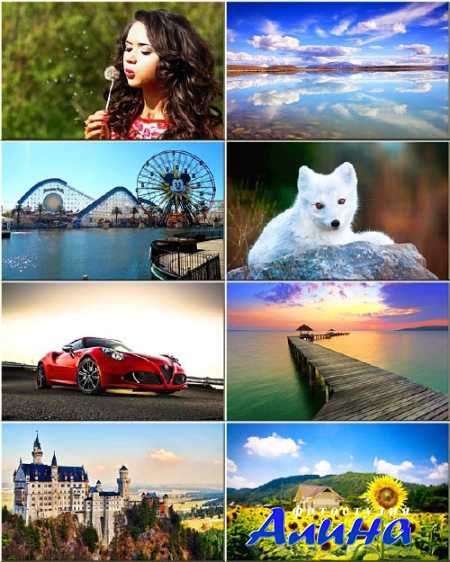 ���� - ��������� �������� #14