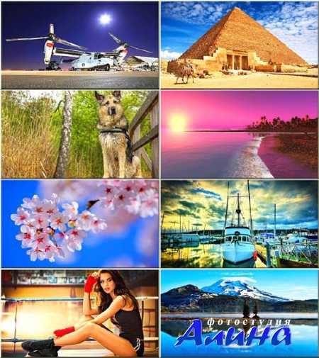 ���� ��� �������� ����� - ������� �� ������ ���� #185