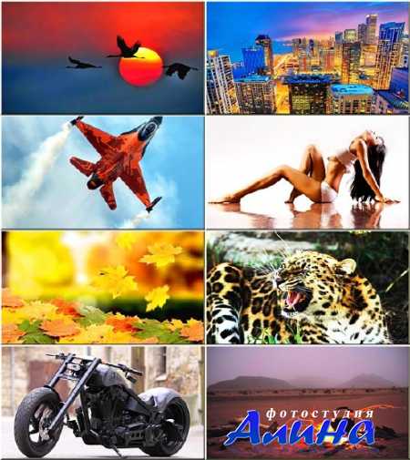 �������� ����� - ��������� �� ������ ���� #118