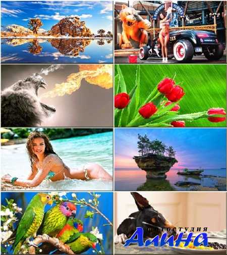 ��������� ���� - ���� �� ������ ���� #292