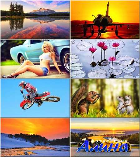 ���� - ������ �������� #44