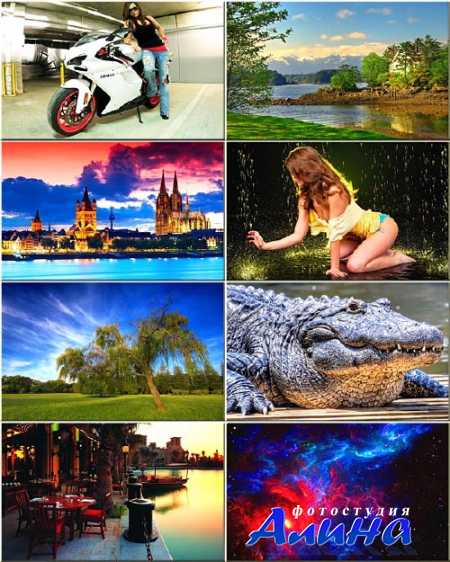 ���� ��� �������� ����� - ��������� �������� #100