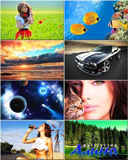 ���� �� ������� ���� - ��������� �� ������ ���� #146