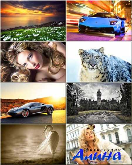 �������� ����� - ����������������� ��������� #53