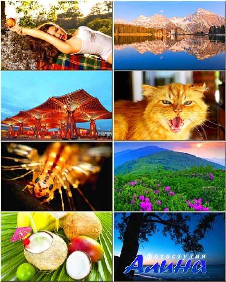 ��������� ���� - ��������� �� ������ ���� #262