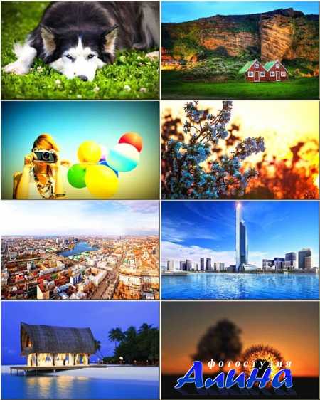 ���� - ������� �� ������ ���� #244