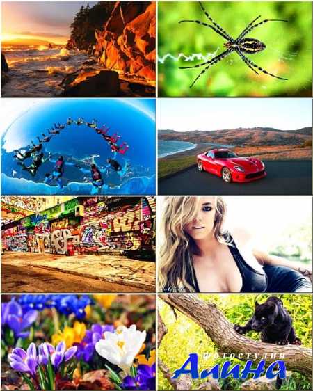 ���� �� ������� ���� - ������ �������� #206