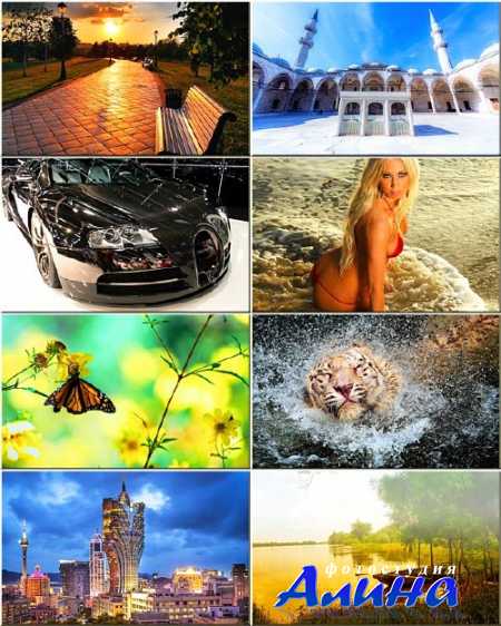 ���� - ��������� �� ������ ���� #74