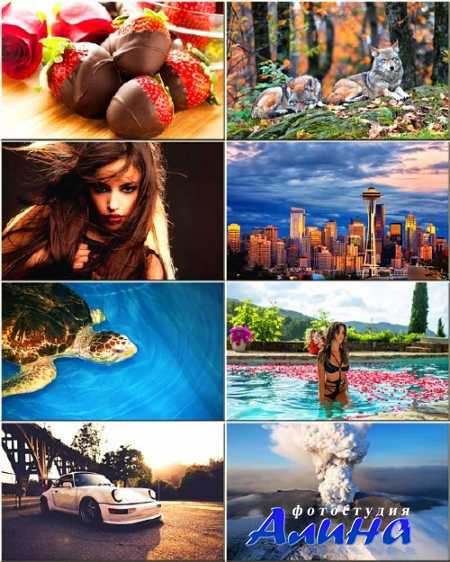 ��������� ���� - ��������� �������� #67