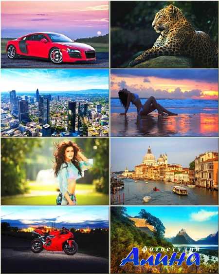 �������� ����� - ����������������� ��������� #293