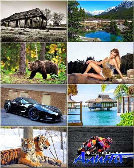 ���� ��� �������� ����� - ���� �� ������ ���� #265