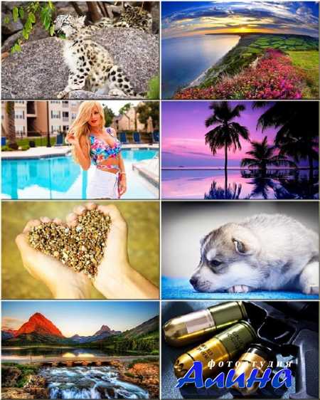 �������� ����� - ��������� �� ������ ���� #133