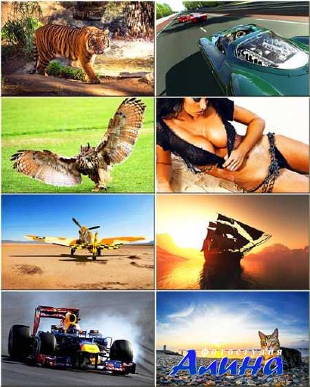 ���� - ��������� �������� #164