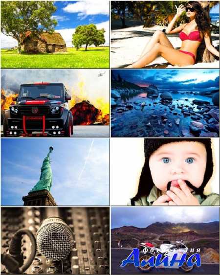 �������� ����� - ���� �� ������ ���� #273