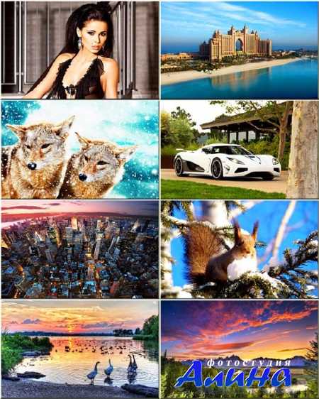 ���� ��� �������� ����� - ���� �� ������ ���� #270