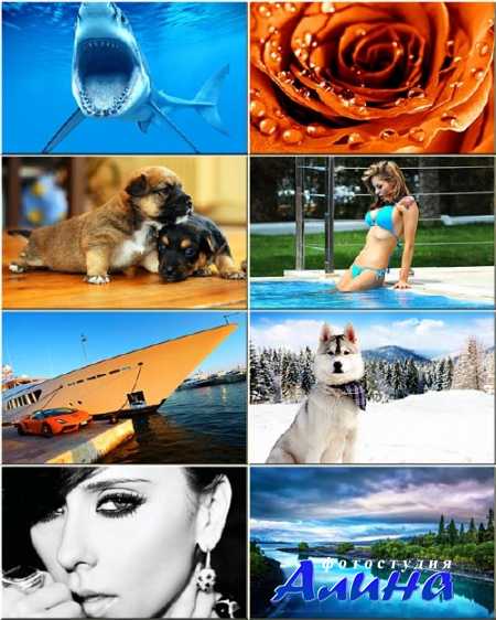 ���� ��� �������� ����� - ����������������� ��������� #15