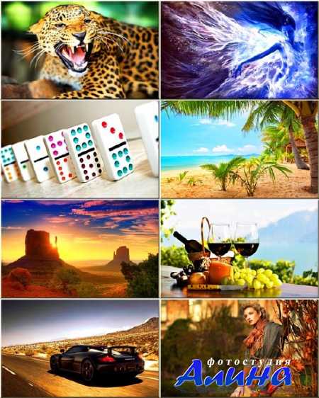 ���� - ���� �� ������ ���� #244