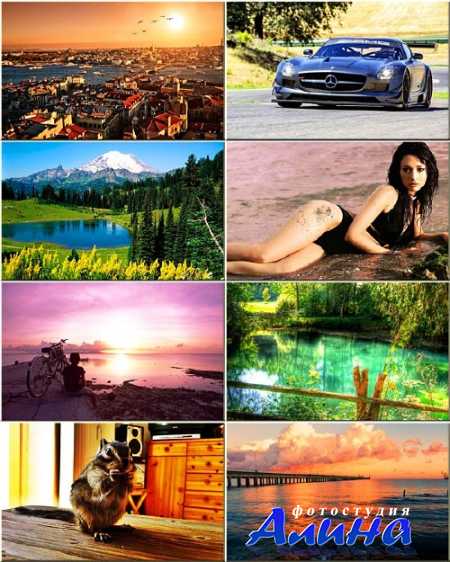 ���� ��� �������� ����� - ��������� �������� #215