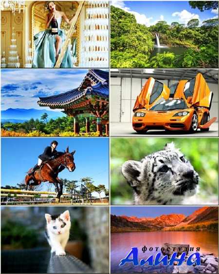 ���� - ��������� �������� #134