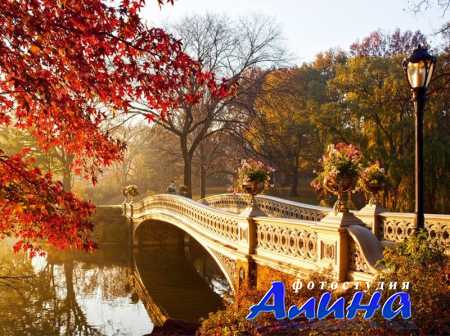 Fotolia - �������