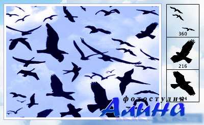 Набор кисточек Набор кисточек