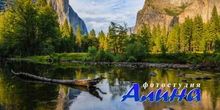 ������� - ������������������ ���������� � fotolia