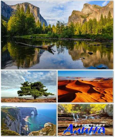 ������� - ������������������ ���������� � fotolia