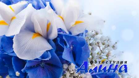 �������� � ���� - ������������������ ���������� � fotolia