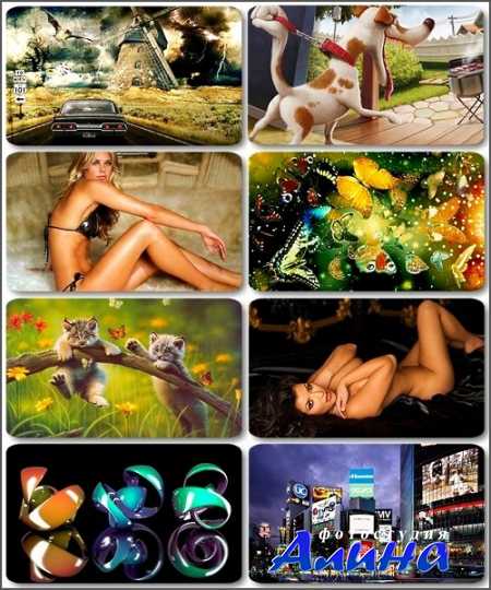 ������ - ������������������ ���������� � fotolia