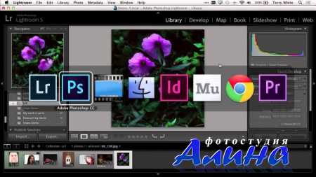 Photoshop Creative Cloud. ������� ������� ������������