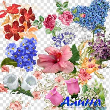 ��������, �����������, ��������� �� ���������� ����