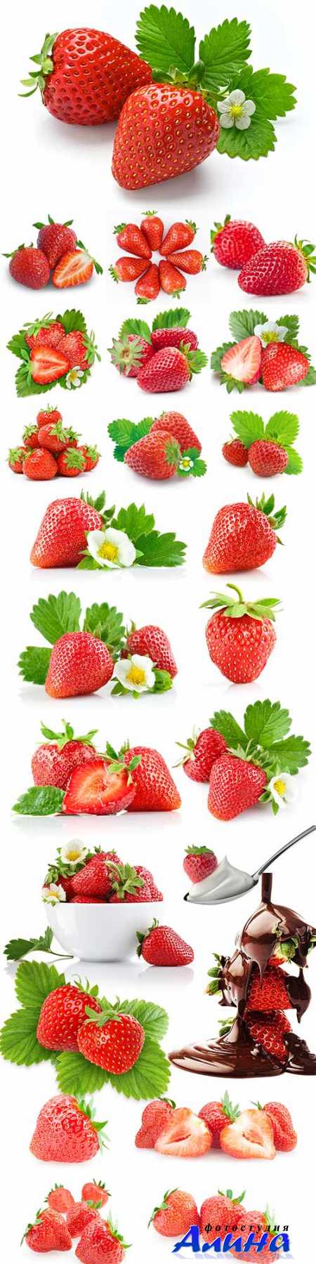 Juicy strawberries on a white background