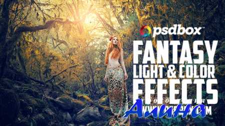 Fairytale Forest - Color and Light Effects Tutorial (PSD Box)
